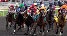 Horse Racing in Ontario