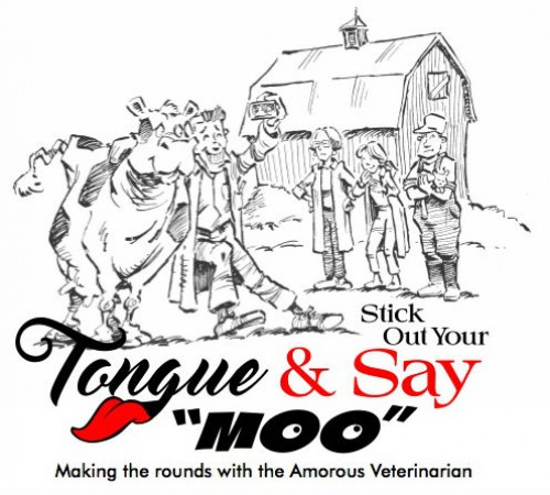 Stick Out Your Tongue and Say Moo! Making the Rounds with the Amorous Veterinarian