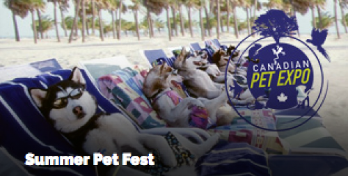 Summer Pet Fest