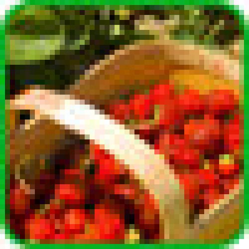 Eastern Ontario - Farms, PYO, Artisanal Foods & Markets