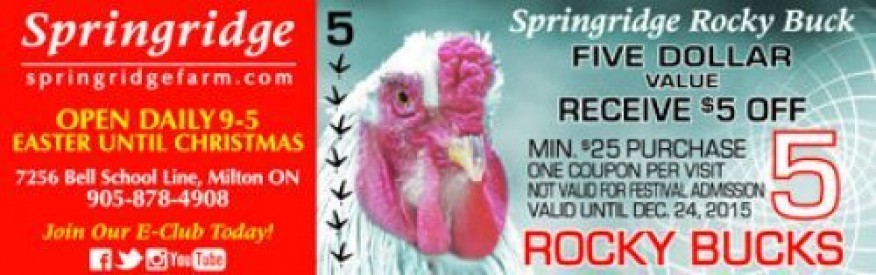 Treetop adventure park coupons