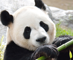 Animals & Zoos in Greater Toronto Area - Summer Fun Guide