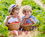 Farms, PYO & Markets in Niagara Region - Summer Fun Guide