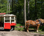 Sightseeing Tours in Central Ontario - Summer Fun Guide