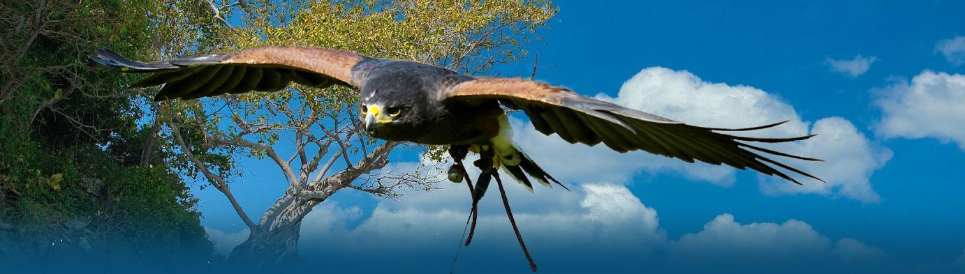  Zoos, Farms & Aquariums in Southwestern Ontario 