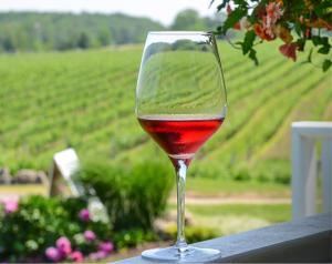 Wineries in Niagara on the Lake