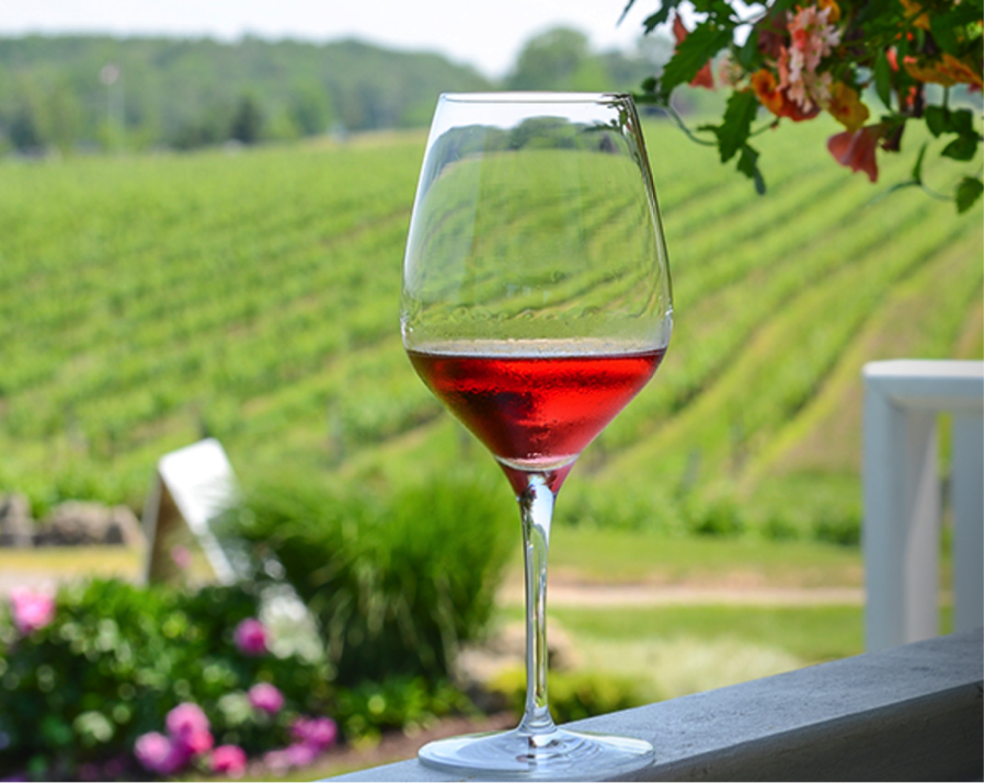 Niagara-on-the-Lake wineries | Summer Fun Guide