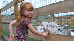 Girl at petting zoo