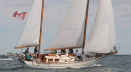 Sailboat charters Rogue Tiger