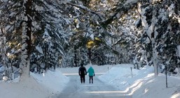 Muskoka Skating Trails