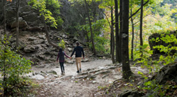 Hiking the Niagara Escarpment