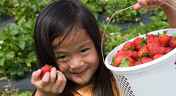 Ontario farmers' markets