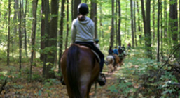 horseback riding in Ontario | summer fun guide