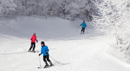 ski lessons in ontario