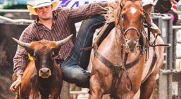 rodeo in Ontario