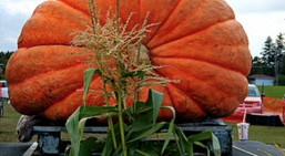 Pumpkinfest Ontario