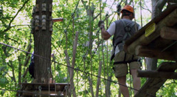 Treetop Adventures in London