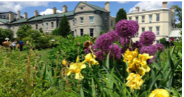 Building and flowers