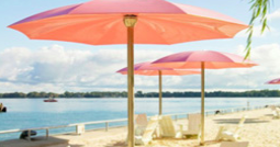 Pink umbrellas on a beach