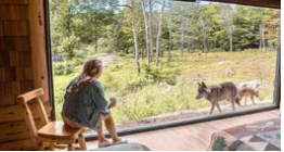 Girl looking at wolves through a window