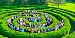 People standing in a hedge maze