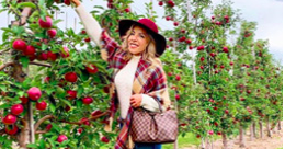 Women picking apples from a tree