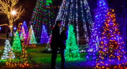 Two people standing by a christmas lights