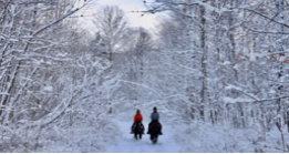 Two people horseback riding in the snow 