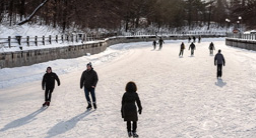 People outdoor skating