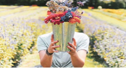 person holding fresh cut flowers