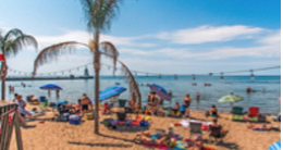 People on a beach with a palm tree