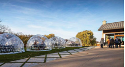 Outdoor dining globes