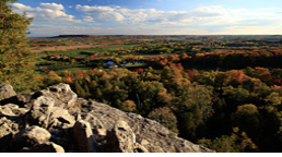 View from a cliff of a fall forest