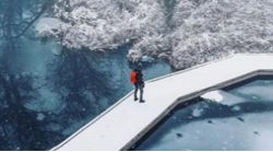 person walking on a bridge over water in winter