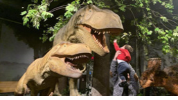 A child reaching up to touch a dinosaur head