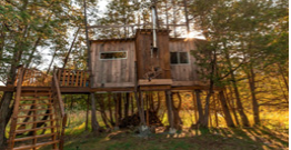 Wooden tree house