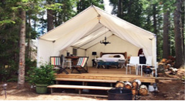View of glamping tent in a forest