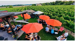 An outdoor restaurant beside a field