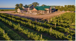 THE BEST ONTARIO WINERIES TO VISIT IN SUMMER 2022