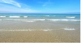 Beach with clear blue water