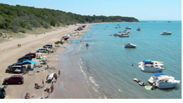 Vehicles parked on a beach