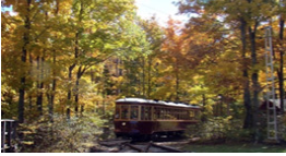 Train going though a forest in the fall