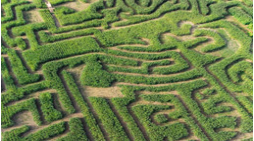 Ariel view of a corn maze