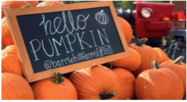 A pile of pumpkins and a sign 