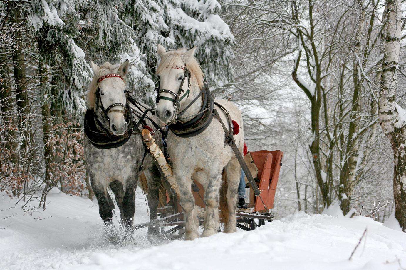 WINTER BUCKET LIST – BEST THINGS TO DO THIS WINTER IN ONTARIO