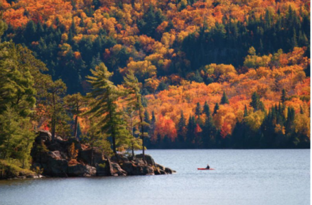 Trees and a lake in the Fall