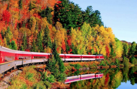 A train passing through a forest and water in the Fall
