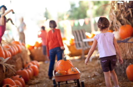 Children pulling a wagon filled with pumpkins