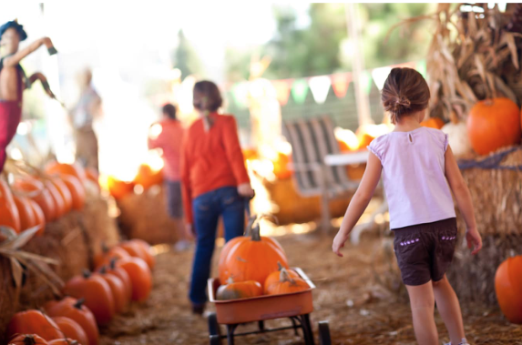 6 FUN FALL ACTIVITIES IN ONTARIO