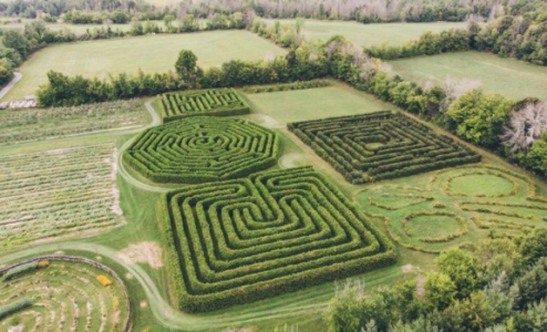 Ariel view of a corn maze 